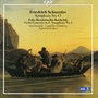 Schneider & Mendelssohn: Orchestral Works