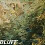 Bluff (feat. JCUTT) [Explicit]