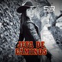 Jefa de Caminos