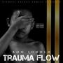 Trauma Flow (Explicit)