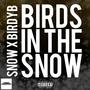 Birds In The Snow (Explicit)