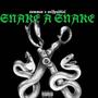 Snake A Snake (feat. Selfpaidlol) [Explicit]