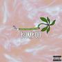 bamboo (Explicit)