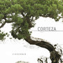 Corteza