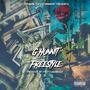 Ghunnit Freestyle (Explicit)