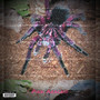 Pink Arachnid (Explicit)