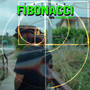 Fibonacci