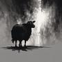 Black Sheep