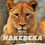 Nakereka