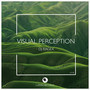 Visual Perception