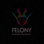 Felony (Original Mix)