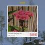 False Spring Rd. (Lado B) [Explicit]