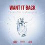 WANT IT BACK (feat. Stoozykid) [Explicit]