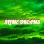 Slime Dreams (Explicit)