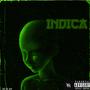 Indica (Explicit)