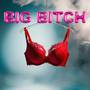 BIG ***** (Explicit)