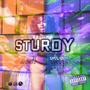 STURDY (Screwed + Sped Up) [Explicit]