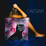 CAESAR