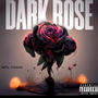 Dark Rose