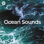 Ocean Sounds