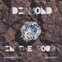 Diamond In The Rough (feat. SnookNazty) [Explicit]