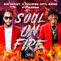 Soul On Fire (feat. Baron.)