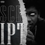 The Script