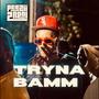 Tryna Bamm (Explicit)