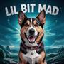 lil bit mad (feat. BlazeWave) [Explicit]