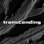 Transcending (feat. Ulviyya)