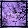 Purple Circle (Explicit)