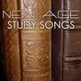 New Age Study Songs - Concentration Music