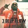 3 Deep Flow (Explicit)