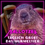 Täglich grüßt das Murmeltier