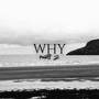 Why (Part 2) [Explicit]