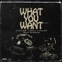 What you want (feat. The Maker 360, Litt0, Pen-G & Snayky)