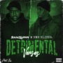 Detrimental Verses (Part Two) [Explicit]