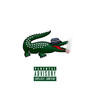 Alligator (Explicit)