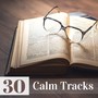 30 Calm Tracks - Natural Zen Songs to Improve Concentration & Logical Thinking