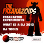 What Is a DJ 2012 / Freakazoid Experiments