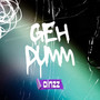 Geh Dumm (Explicit)