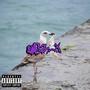 Birdie (feat. $lumpy) [Explicit]