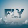 FLY (Explicit)