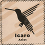 Icaro