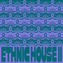 Ethnic House Vol.2