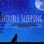 Trouble Sleeping – New Age Natural Instrumental Sounds to Help You Sleep Better and Reduce Insomnia