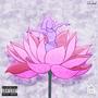 Pink Lotus Shawty (Explicit)