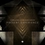 Present Experience