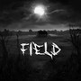 Field (Explicit)