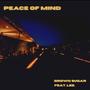 Peace of Mind (feat. lee.)